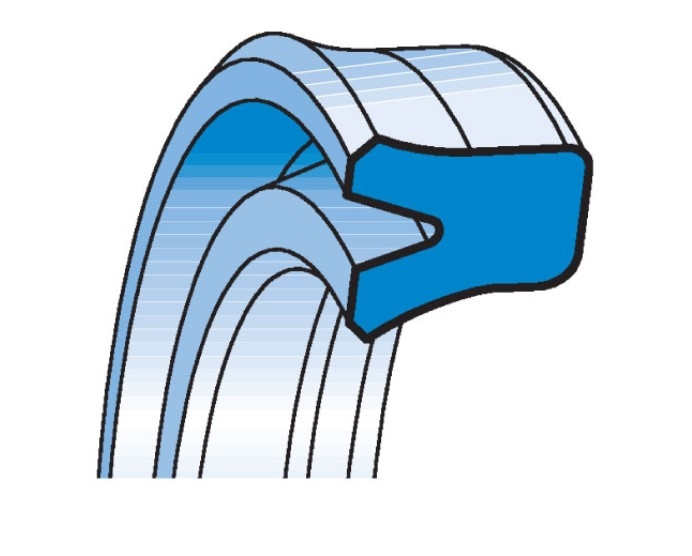 COLL-RSA-GAPI.JPG
