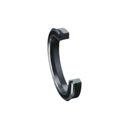 250_COLL-UM-MFN.PNG